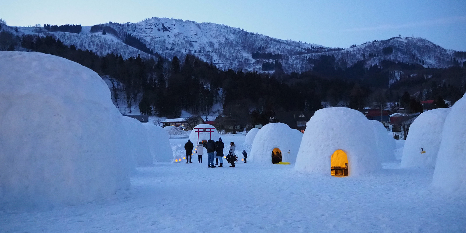 信州いいやま かまくらの里 長野県飯山市 雪原に大きなかまくらが並ぶ 信州いいやまの冬の風物詩
